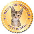 Cat-Adoptions-Auburn-Adopt-A-Pet